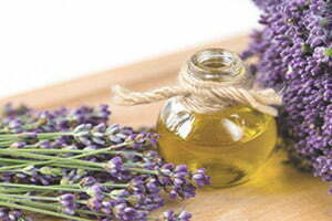 Lavender essential oil for tinnitus