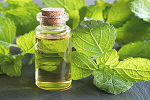 Patchouli essential oil for tinnitus